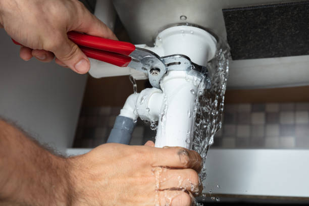 Best Flooded house restoration  in Punta Gorda, FL