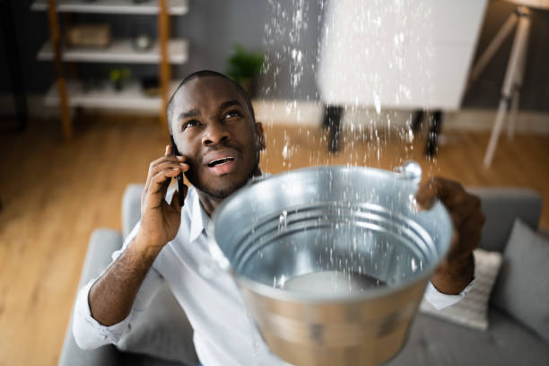 Best Commercial water damage restoration  in Punta Gorda, FL