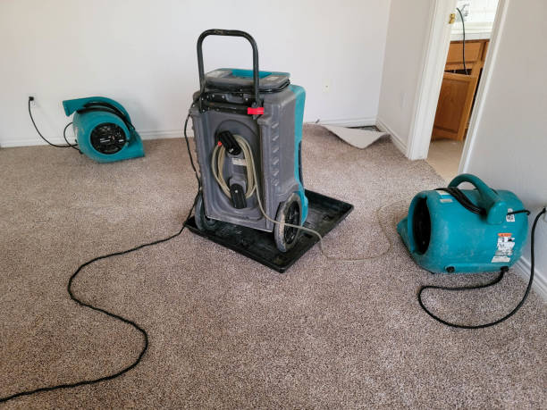 Best Commercial water damage restoration  in Punta Gorda, FL