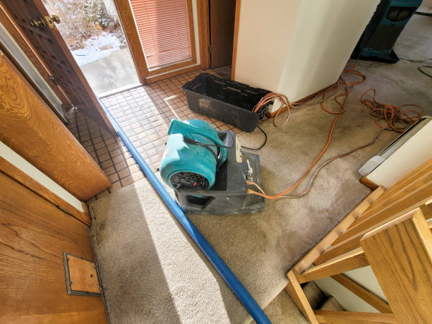 Best Fire Damage Restoration  in Punta Gorda, FL