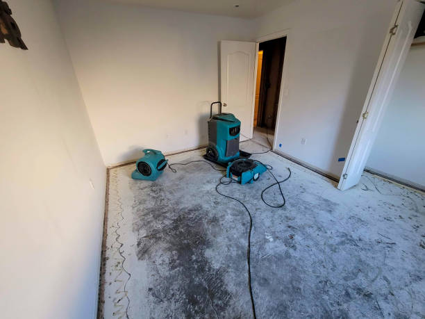 Best 24/7 water damage repair  in Punta Gorda, FL