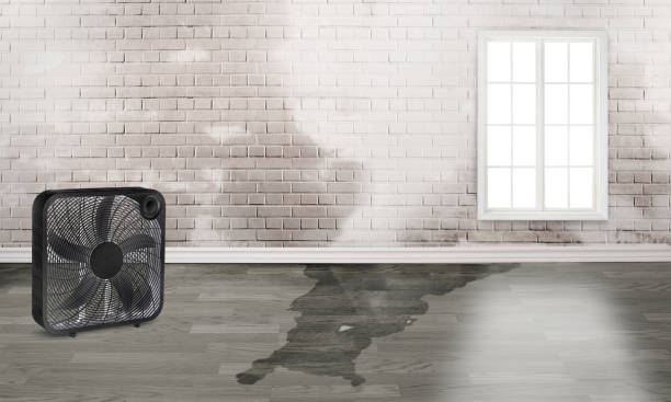 Best Water damage restoration cost  in Punta Gorda, FL