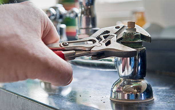 Best Mold removal after water damage  in Punta Gorda, FL