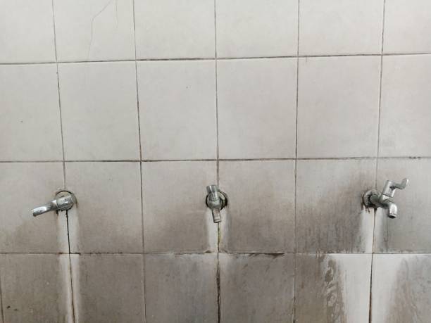 Best Sewage cleanup and water damage restoration  in Punta Gorda, FL