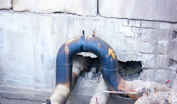 Best Professional water damage repair  in Punta Gorda, FL